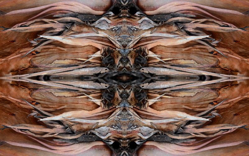 Waynequilliam2018art 15 800x501
