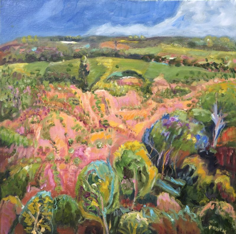 Cliff Face – Onkaparinga Gorge