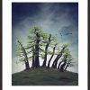 Montezuma Bald Cypress Blk 60x75