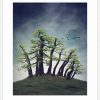 Montezuma Bald Cypress Wht 60x75