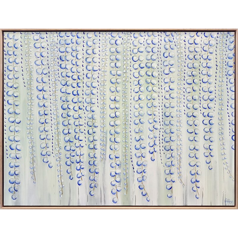 Morning Mist Wisteria