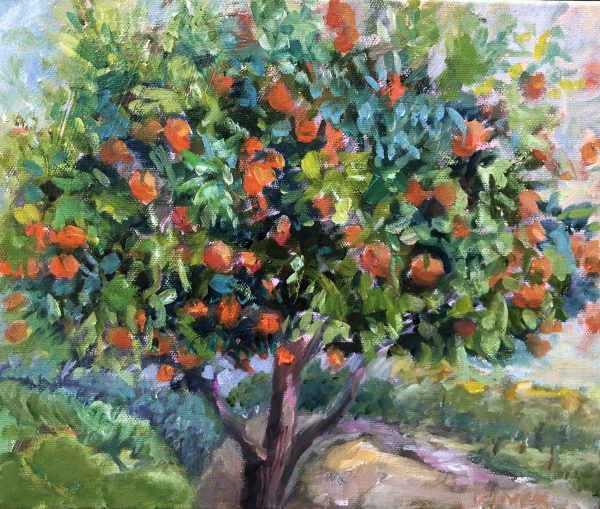 Suburban Orange Tree