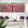 Tulips At Dawn Songbird Designz Deborah Lang Tulip Fields Flowers Floral Botanicals Canvas Textured Impasto Wall Art Contemporary Hamptons Style 2