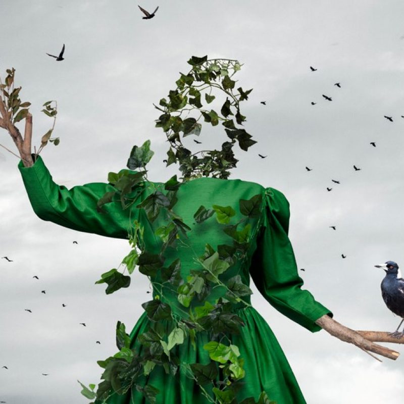 User 56 Hayley Roberts 2020 11 22 T 01 19 06 604 Z May