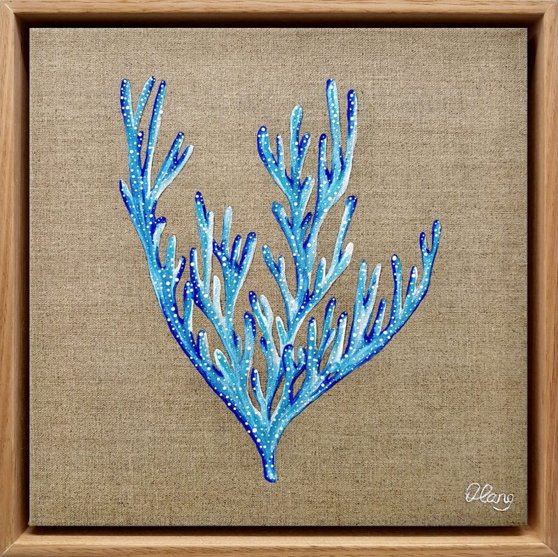 Blue Coral 2