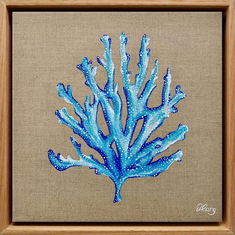 Blue Coral 1
