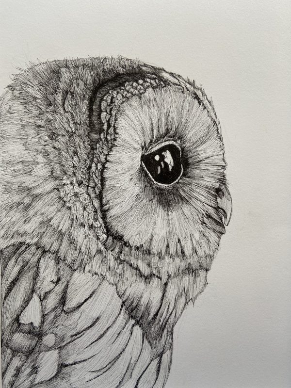 9d272292 390d 4231 9219 65a6024d111f