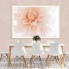Blush Dahlia Framed Print Bernadette Meyers Art Lovers Australia