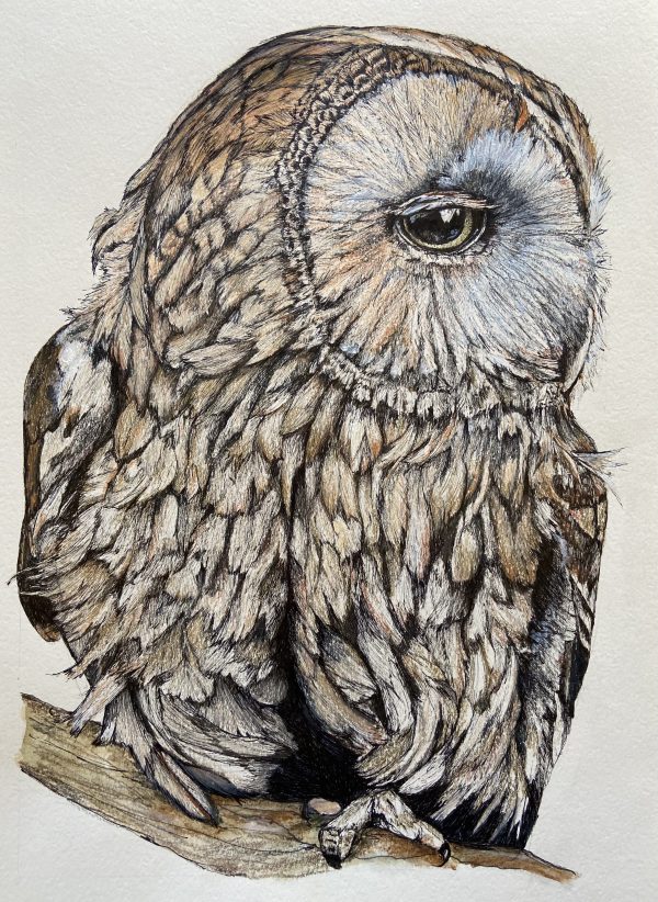 D30b6fb4 3d73 476b Ab1b E075dbfd7f6d