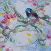 Fairy Wrens Detail