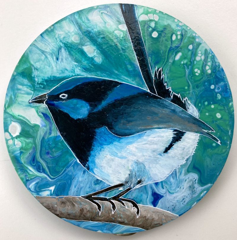 Australian Blue Wren – SOLD
