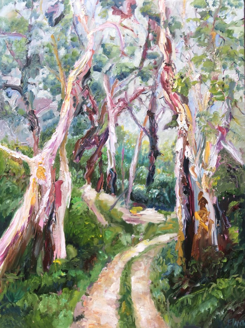 Eucalyptus Forest