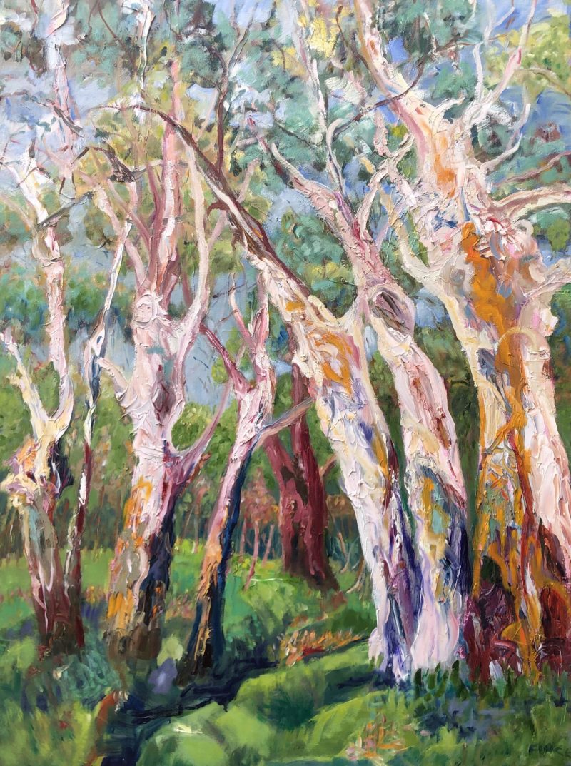 Para Wirra Landscape