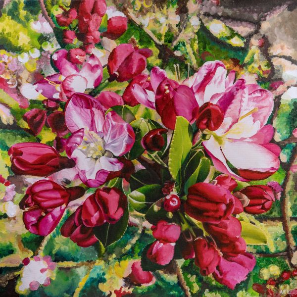 The Crabapple Kim Neil Web