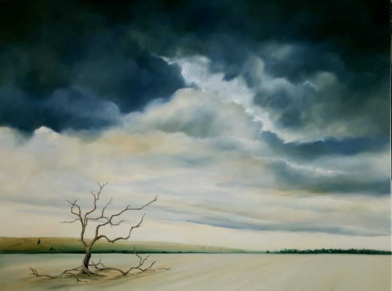 The Struggle For Life