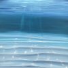 Alanah Jarvis Ocean Painting Underwaer Art Refreshed