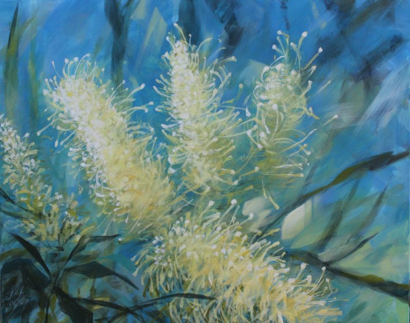 Dancing in the Light – Grevillea series