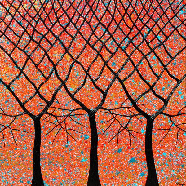 Sunset Outback Australiana Trees Sunset Outback Australiana Trees