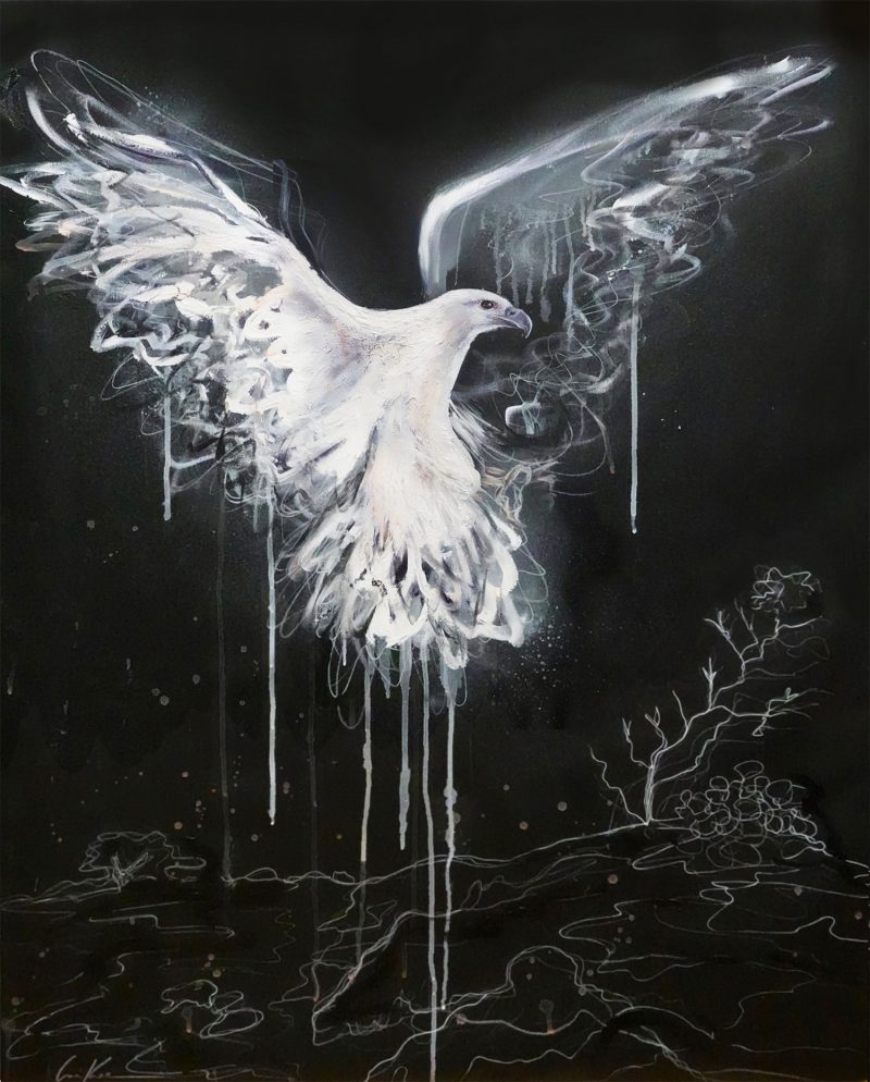 Sea Eagle Over Binalong Bay