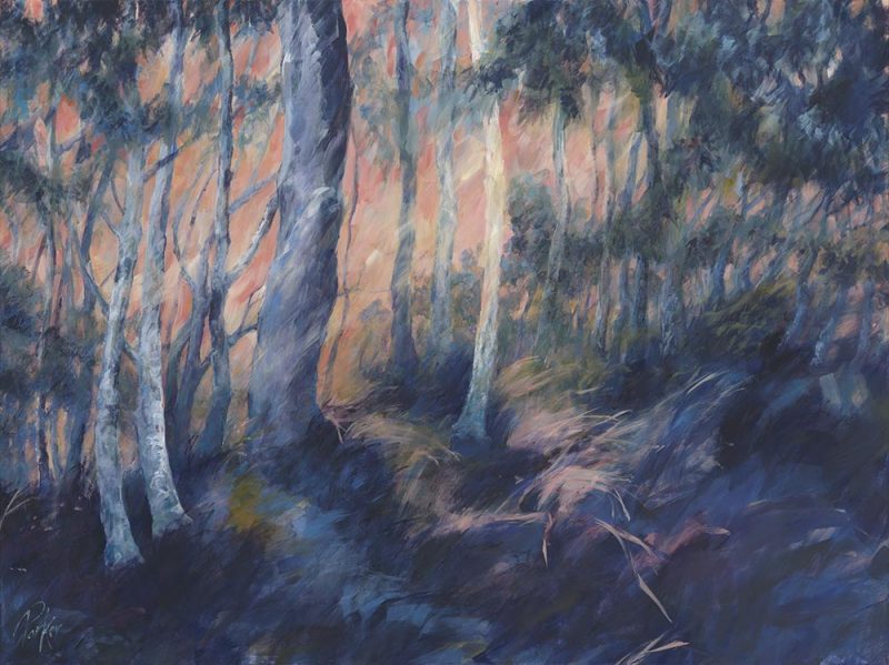 August wind – Mount Coot Tha Series