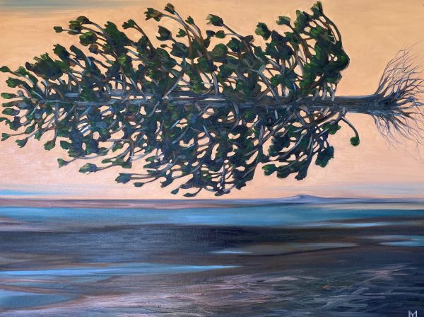 In The Slipstream 2021 Mcguire