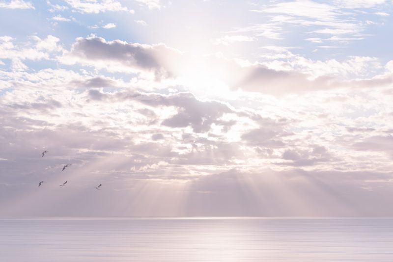 Morning Light – Ltd Ed Print