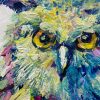 Technicolor Owl 2