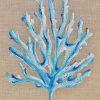 Azure Blue Coral Seaweed 3pc Songbird Designz Deborah Lang Ocean Collection Natural Oak Timber Floating Frame Framed Linen Canvas Wall Art Contemporary Coastal Hamptons Style 4