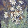 Flannel Flowers Final
