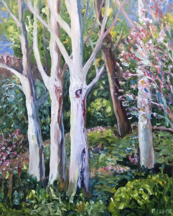 Garden Landescape Stangate House