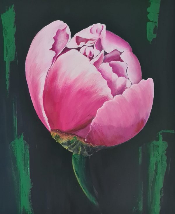 Instasize 210905101625