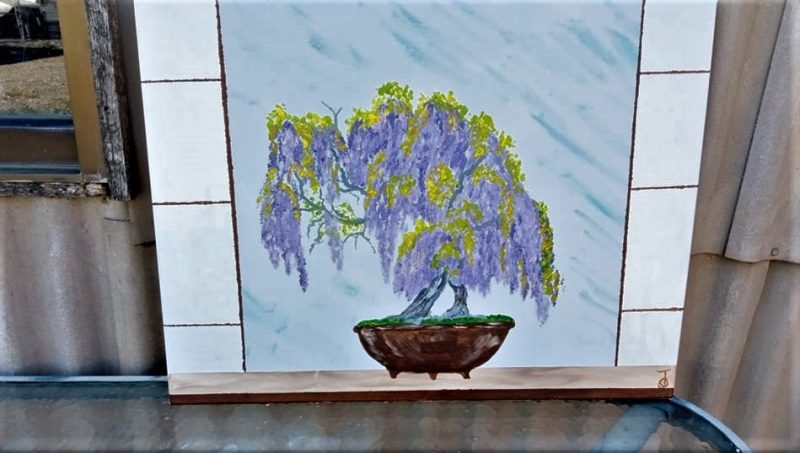 Wisteria Bonsai