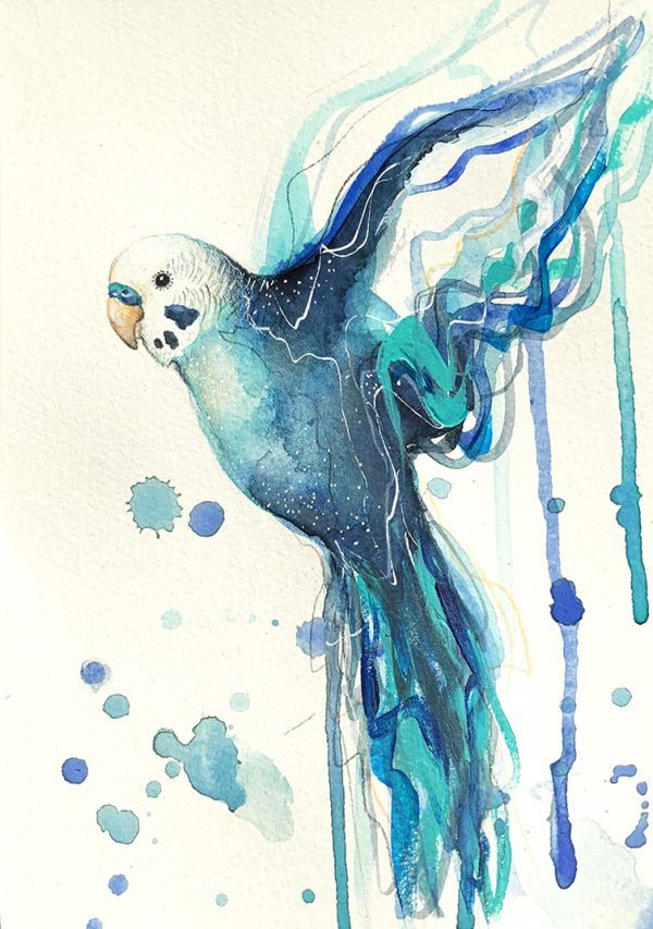 Sydney Artist Leni Kae Blue Budgie Art Watercolour I
