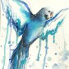 Sydney Artist Leni Kae Blue Budgie Art Watercolour Open Wings
