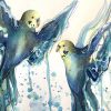 Sydney Artist Leni Kae Budgies Closeup