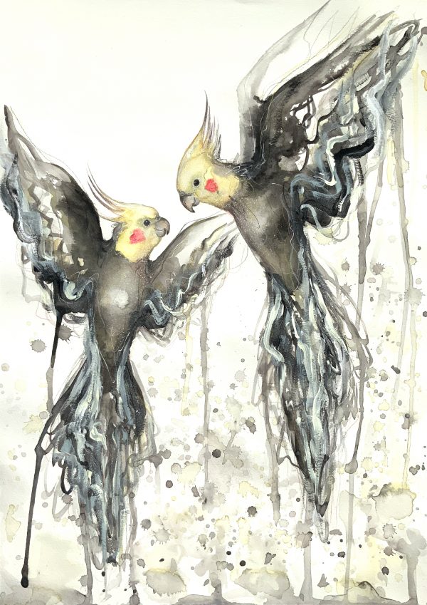 Sydney Artist Leni Kae Cockatiels Artwork Painting Watercolour Copyright