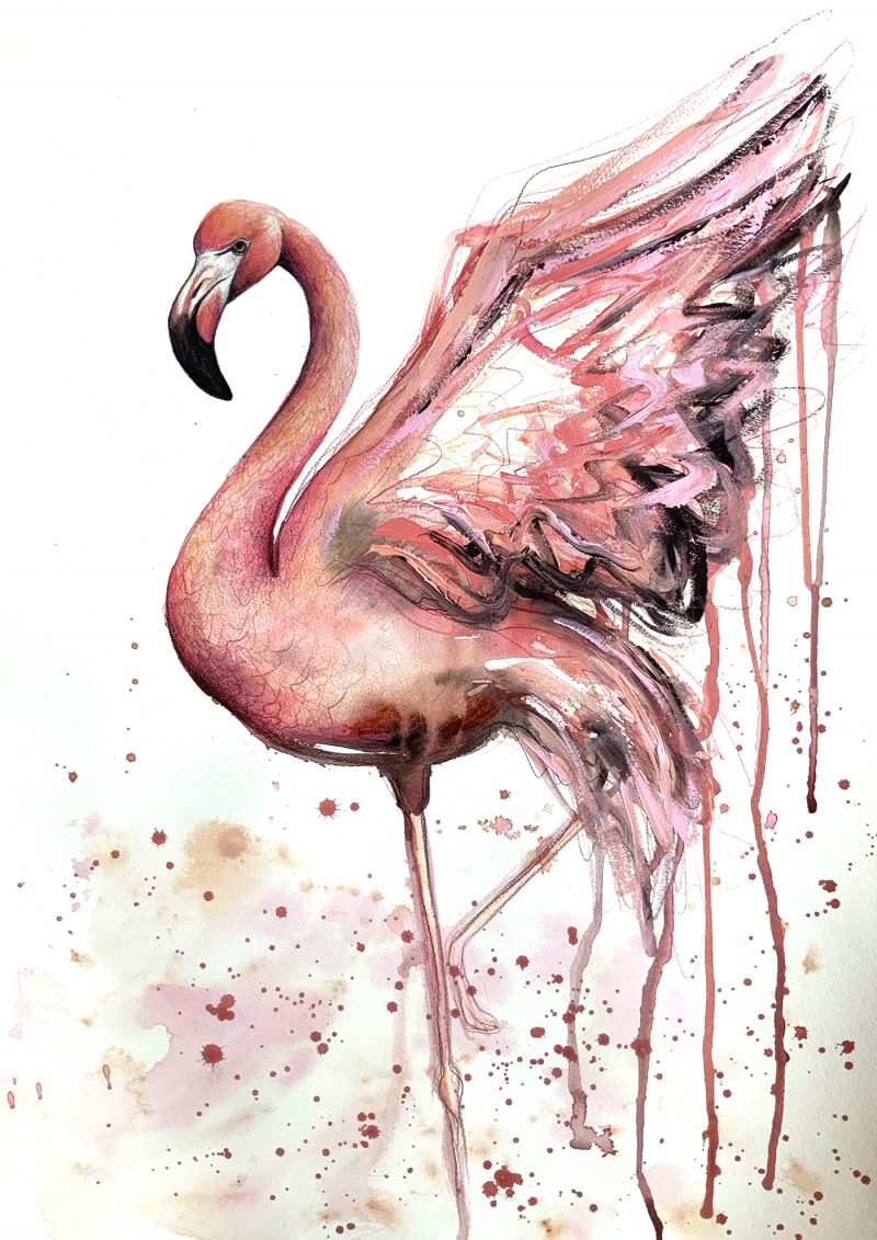 Dance of the Pink Flamingo