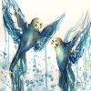 Sydney Artist Leni Kae Turquoise Yellow Budgies A3 Artwork