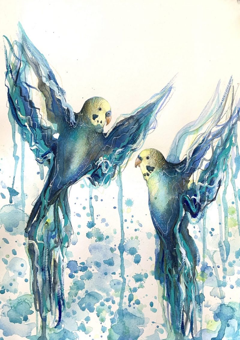 Budgie Love, in Blue and Yellow