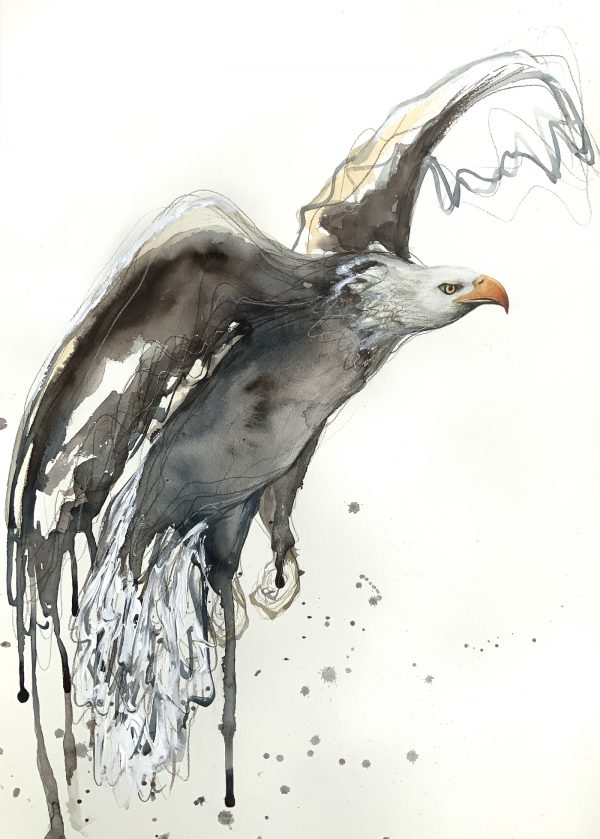 Sydney Artist Leni Kae Bald Eagle Bold Eagle Artwork 1400px