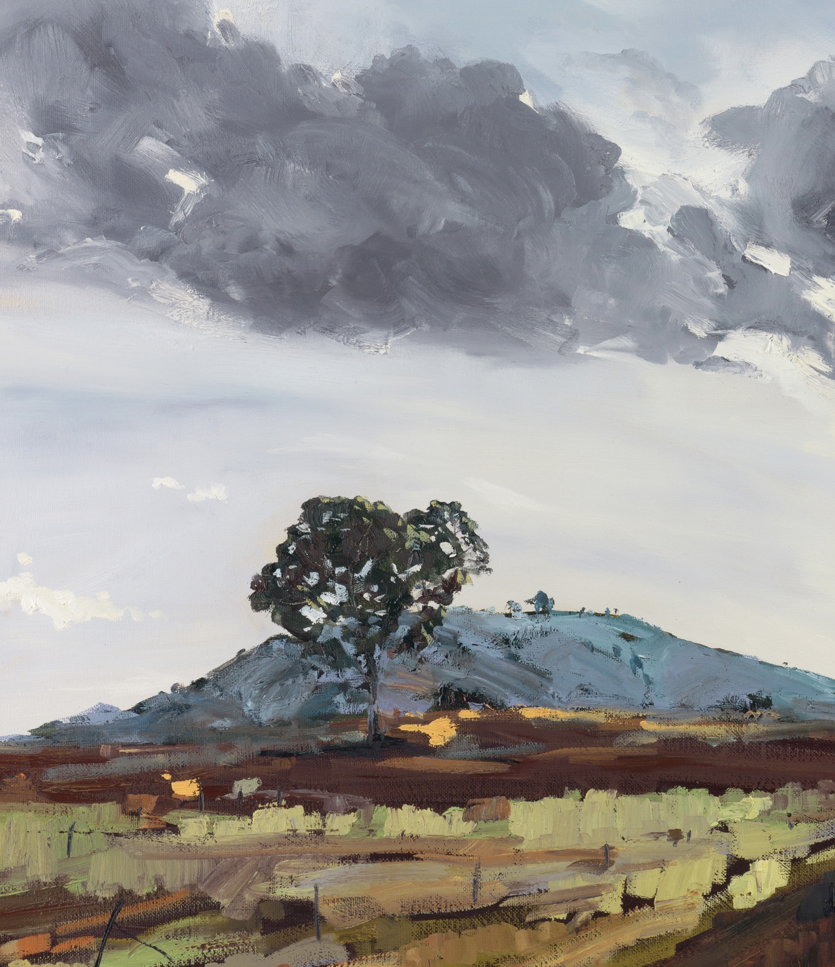 M Howse 036 Cootamundra 30cm Promo