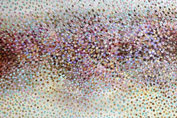 26117dcd 38b3 49f0 9895 E63570a27563