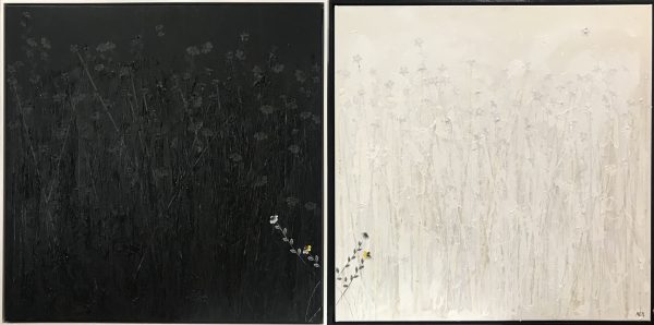 Black And White Kim Neil Web