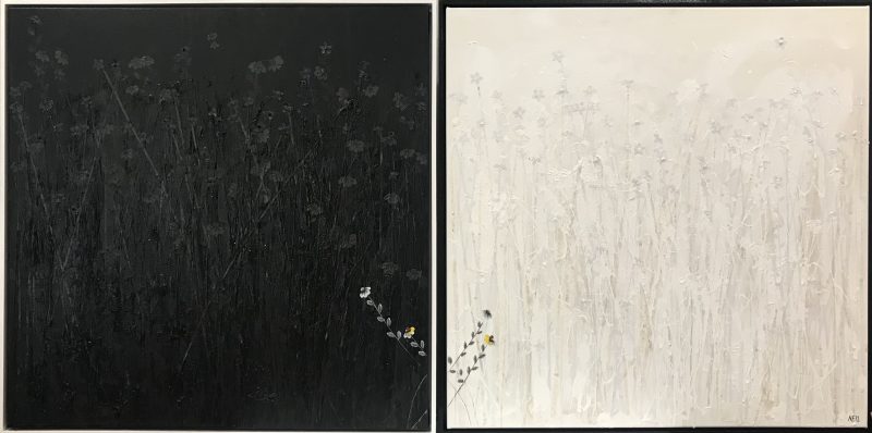 Black and White: A Grieved Perspective