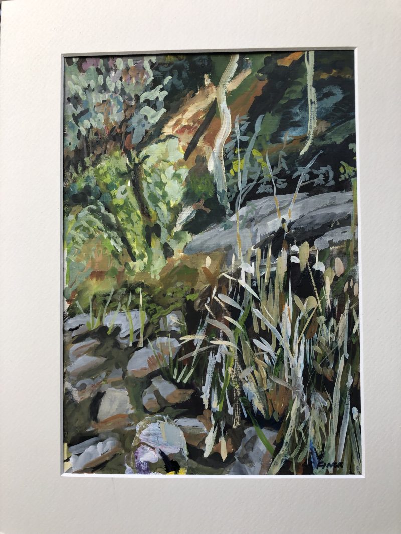 Creek in Morialta Falls