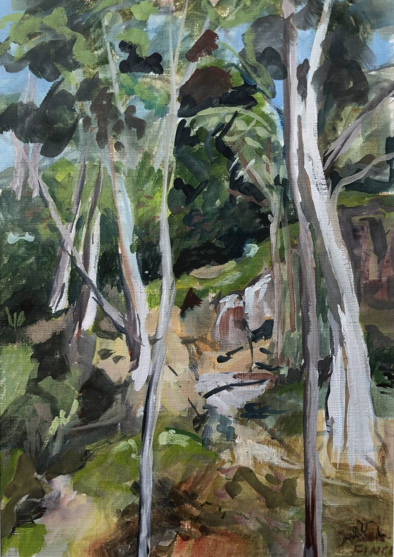 Hillside in Morialta Falls