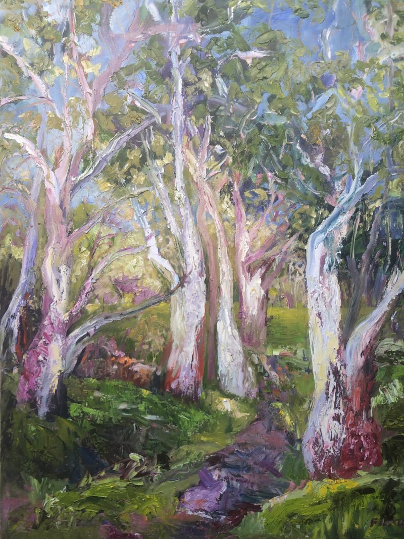 PARA WIRRA AFTER RAIN