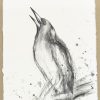 1a.sydney Artist Leni Kae Song Of The Magpie Drawing