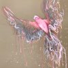 2.artist Leni Kae Spirit Of The Galah Painting On Paper Art
