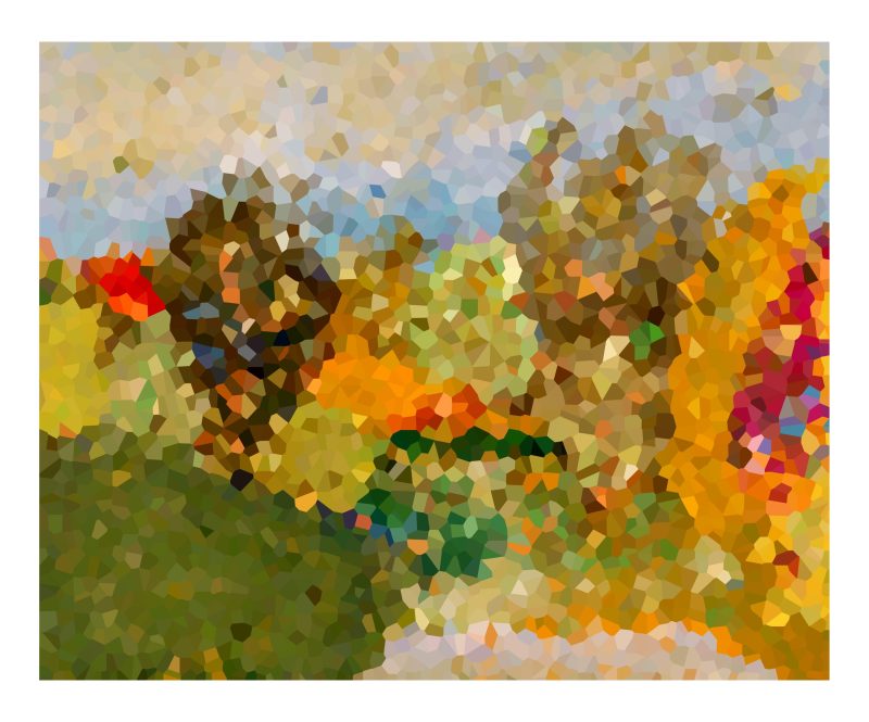 Garden View 2 Voronoi Diagram Ltd Ed Print